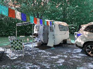 Site salehoo.com Loss Leader