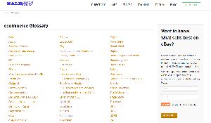 Drop Shipping Suppliers Salehoo