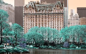 Salehoo Market Research Lab